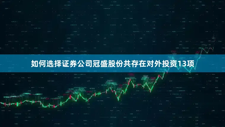 如何选择证券公司冠盛股份共存在对外投资13项