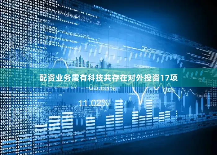 配资业务震有科技共存在对外投资17项